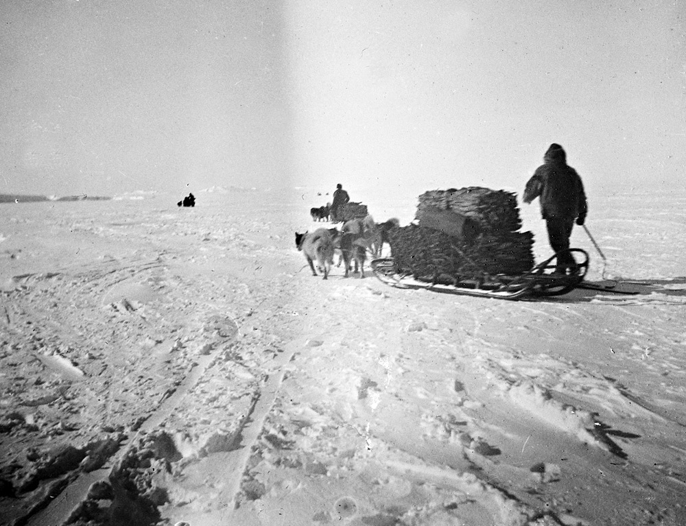 The Race to the South Pole - Roald Amundsen and Robert Scott 1911-1912